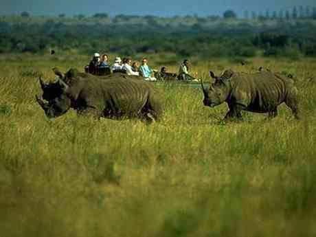Family Safari & Beach Getaway